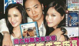 李宗瑞免费视频,揭秘娱乐圈的隐秘角落